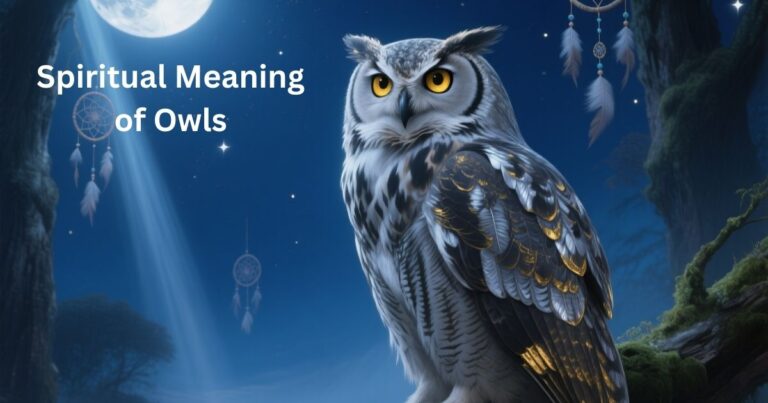Spiritual Meaning of Owls